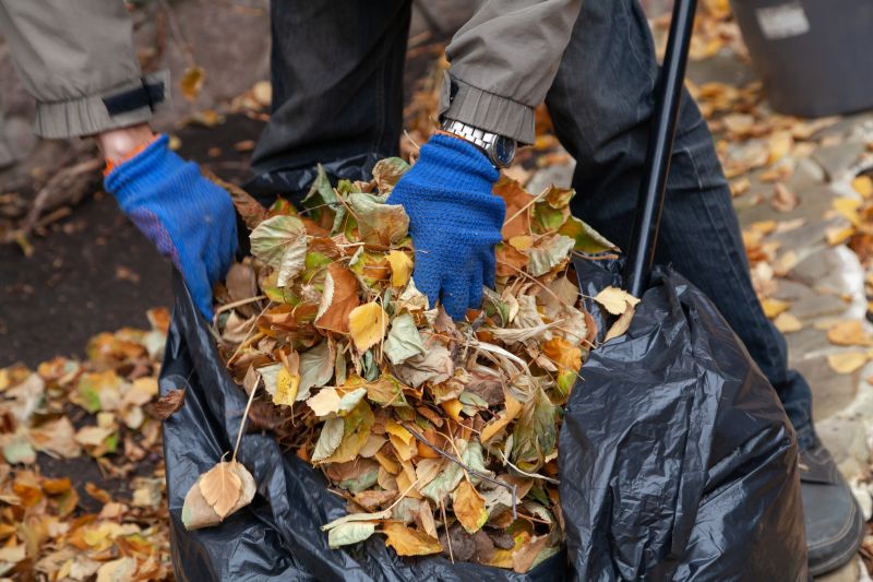 Leaf Collection in Driveways