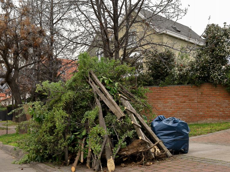 Community Park with Leaf Debris