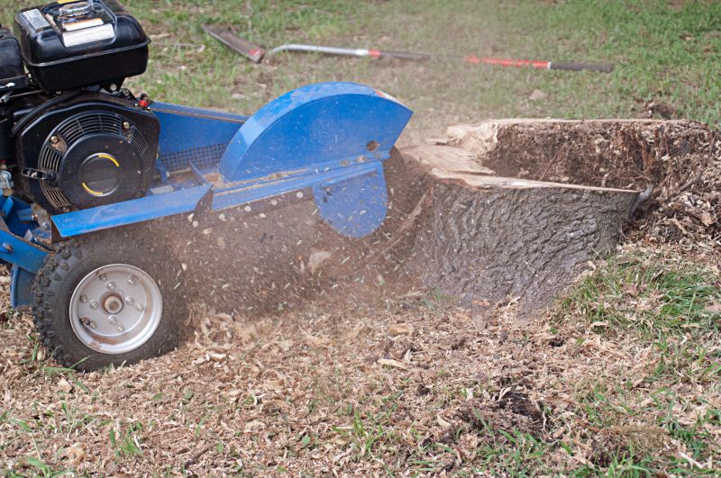 Stump Grinding Machines