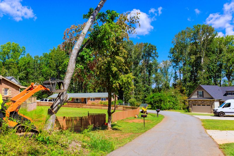 Root Cutting in Progress